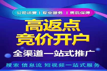 百度SEO推广案例：实战解析与效果展示