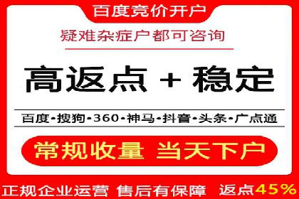 某企业SEM广告投放的ROI提升策略及效果展示